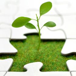 The jigsaw of life.