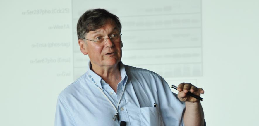 Tim Hunt Tim Hunt