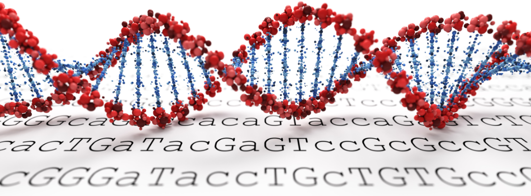 Biochemistry and Molecular Biology (BMB)