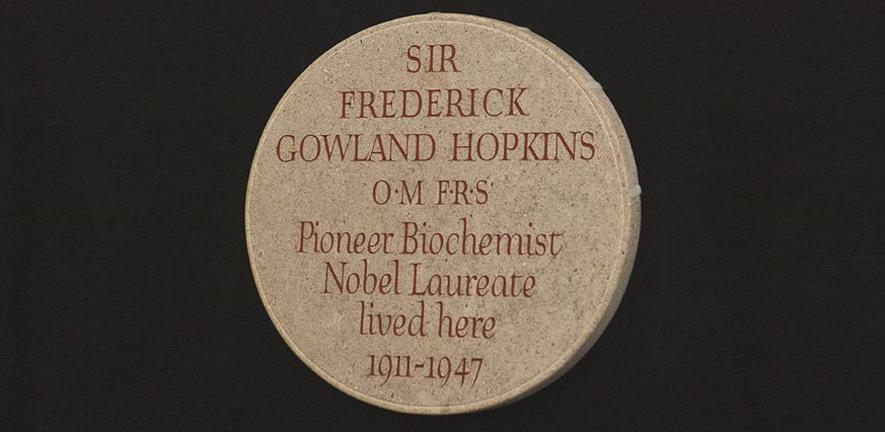 The Hopkins commemorative plaque The Hopkins commemorative plaque