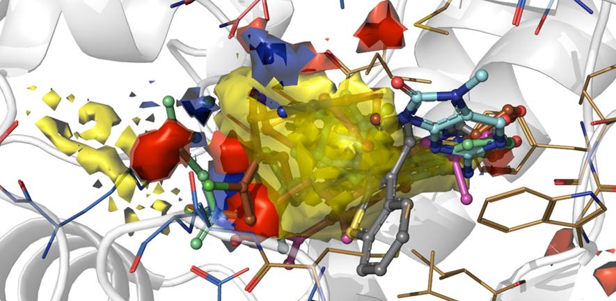 Hotspot map of the DNA-PKcs ATP binding site with inhibitors docked in. Hotspot map of the DNA-PKcs ATP binding site with inhibitors docked in.