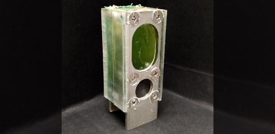 A container holding the blue-green algae that powered a microprocessor.