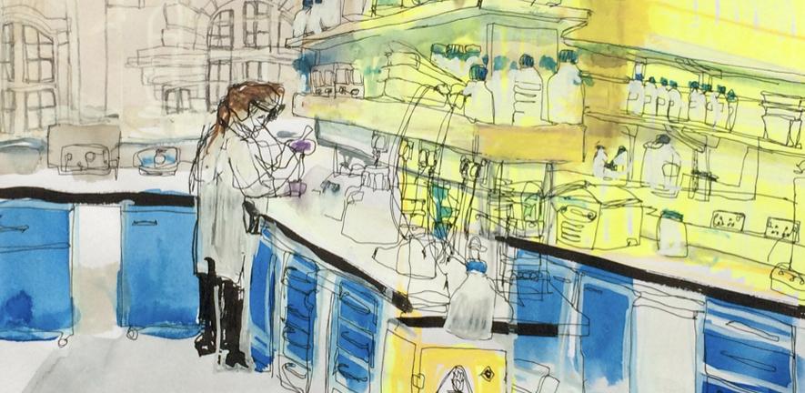 An artist's impression of research in the Department. An artist's impression of research in the Department.
