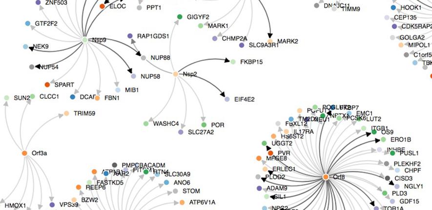 SARS-CoV-2-human protein-protein interactions. SARS-CoV-2-human protein-protein interactions.