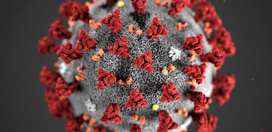 Illustration of the SARS-CoV-2 virus.