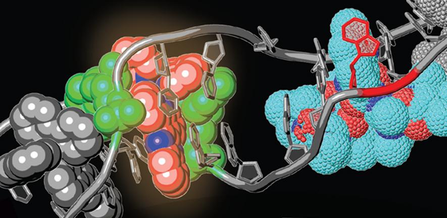 An artist's impression of DNA targeting by small molecules An artist's impression of DNA targeting by small molecules