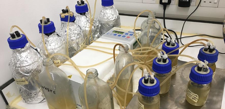 Laboratory model of human airways. Laboratory model of human airways.