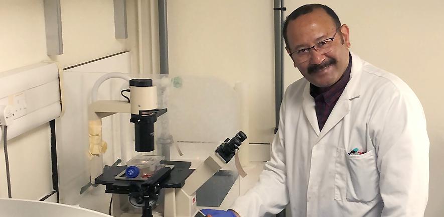 Dr Samir Hamaia in the laboratory. Dr Samir Hamaia in the laboratory.