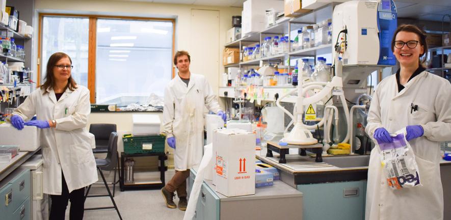 Members of the Luisi Group in the laboratory during lockdown. Members of the Luisi Group in the laboratory during lockdown.