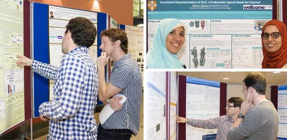 Poster header 3.jpg Poster header 3.jpg
