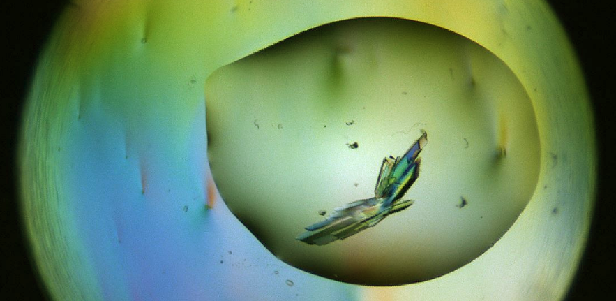 Crystallography