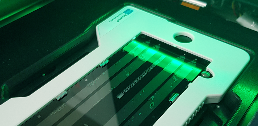 DNA Sequencing DNA Sequencing