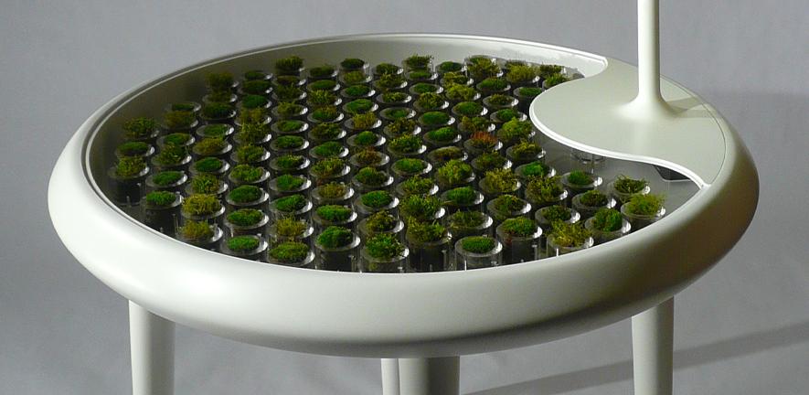 The 'Moss Table' concept design The 'Moss Table' concept design