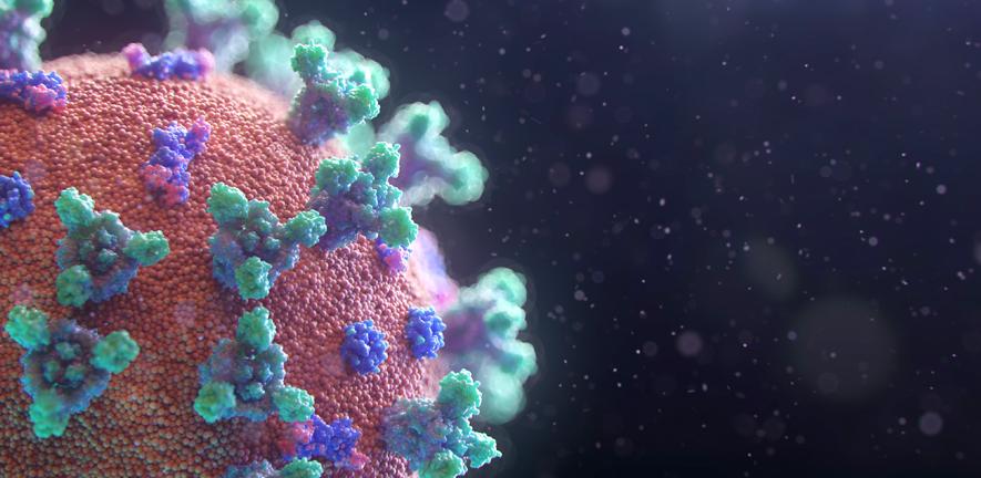 Artist's impression of the SARS-CoV-2 (COVID-19) virus. Artist's impression of the SARS-CoV-2 (COVID-19) virus.