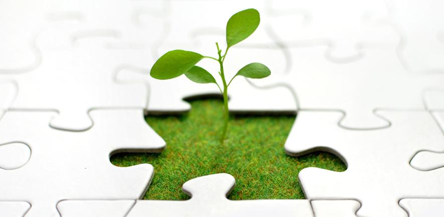 The jigsaw of life. The jigsaw of life.