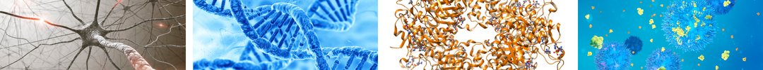 Biochemistry and Molecular Biology (BMB) image