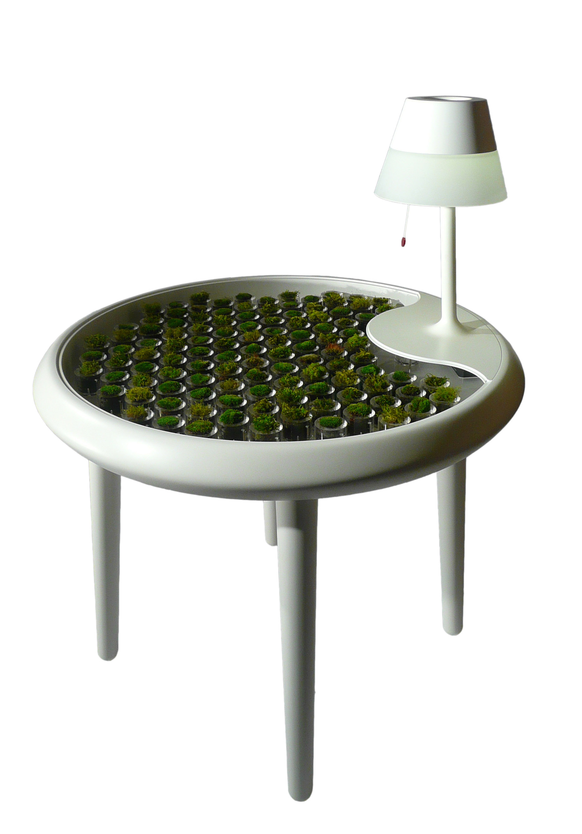 Moss table