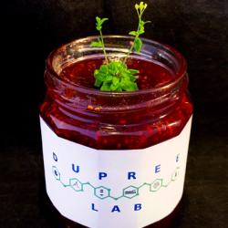 A gosamt1 gosamt2 mutant Arabidopsis plant in a pot of 'Dupree Lab'-branded jam.