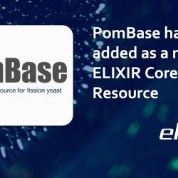 PomBase