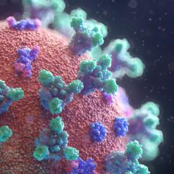 Artist's impression of the SARS-CoV-2 (COVID-19) virus.