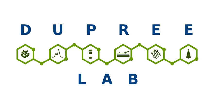 Dupree Group logo