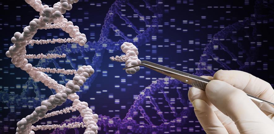 An artist's impression of DNA editing