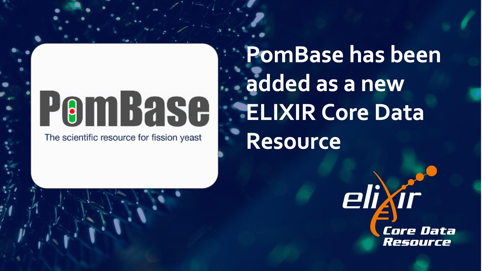 PomBase